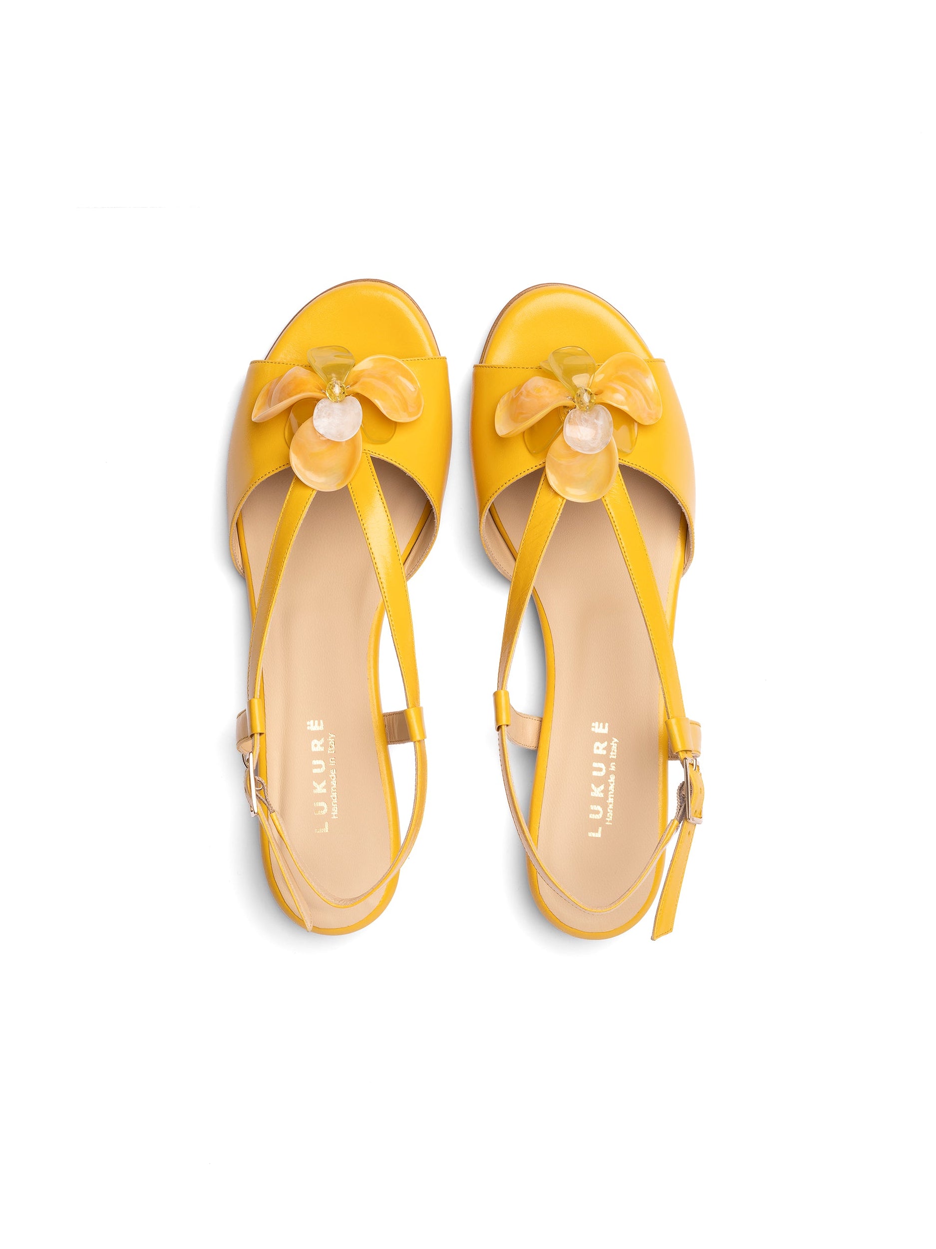Ambre