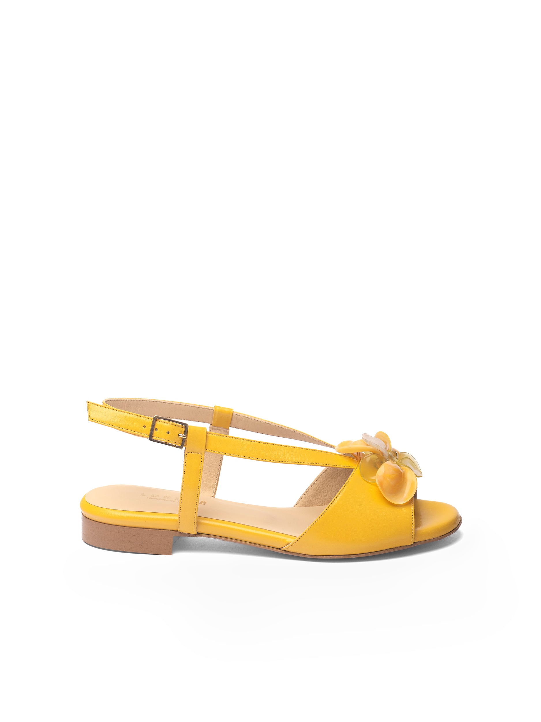 Ambre